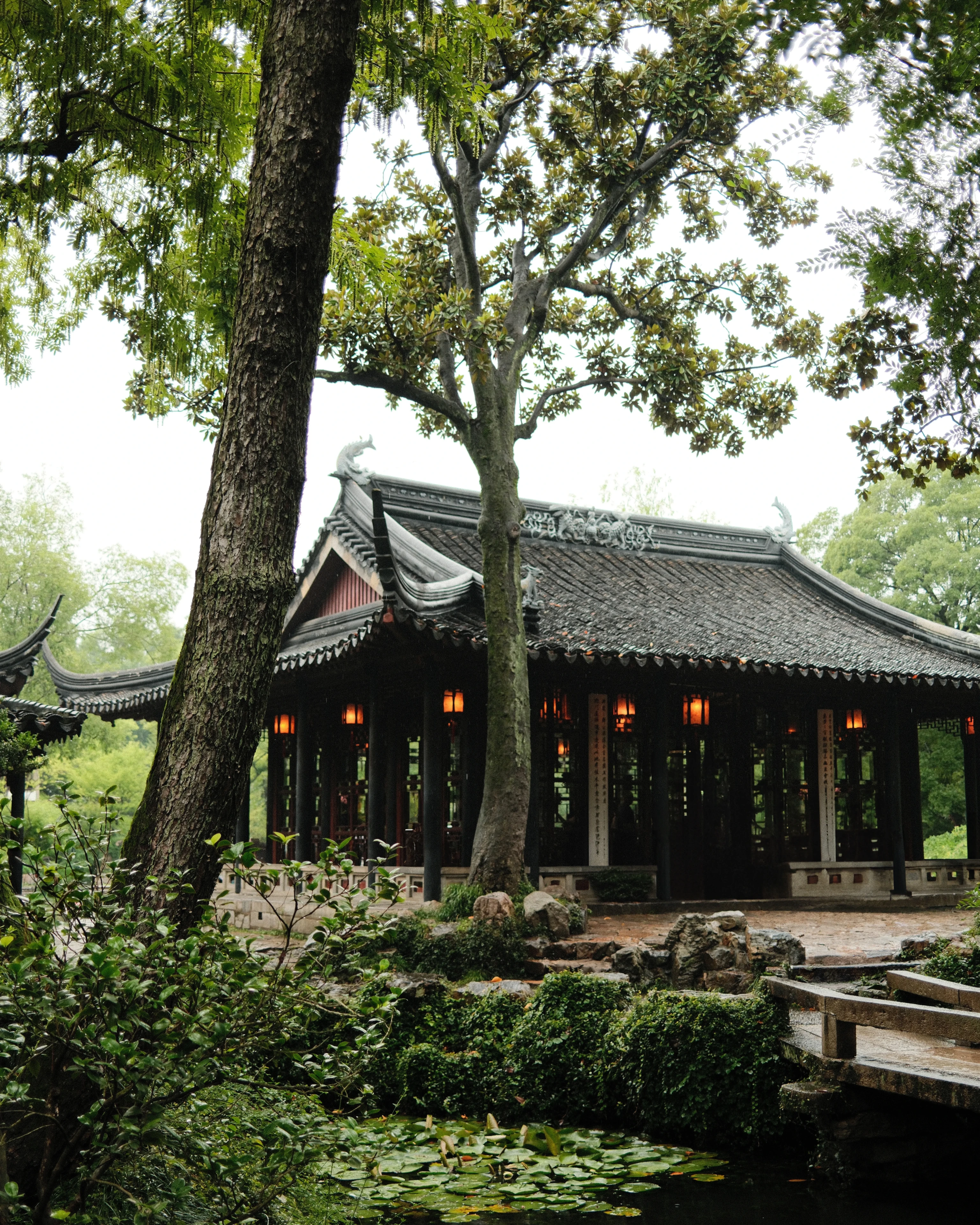 CHINA 2024 - Travel Photography, visual 19 of 20